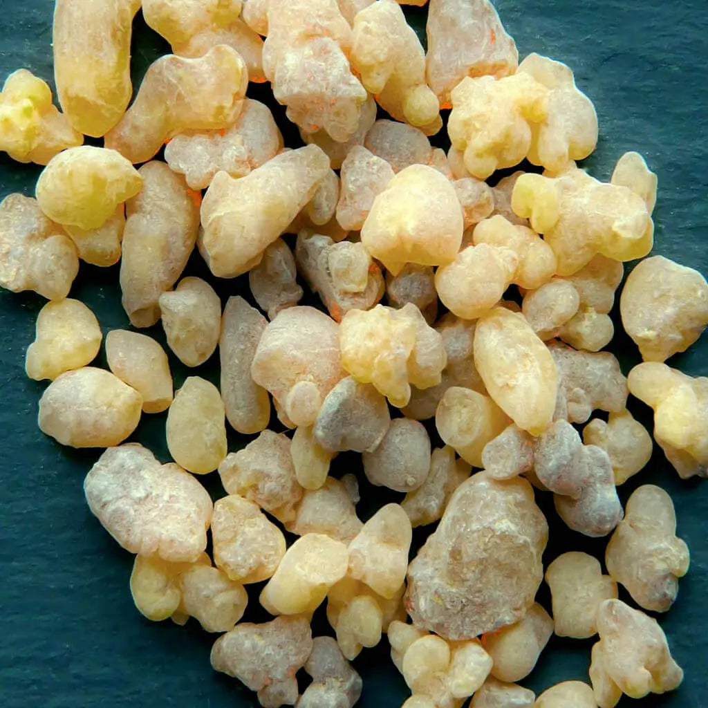 Boswellia Curcumin Organic kapsulas 60 gab. - efektīvs pretiekaisuma augu maisījums