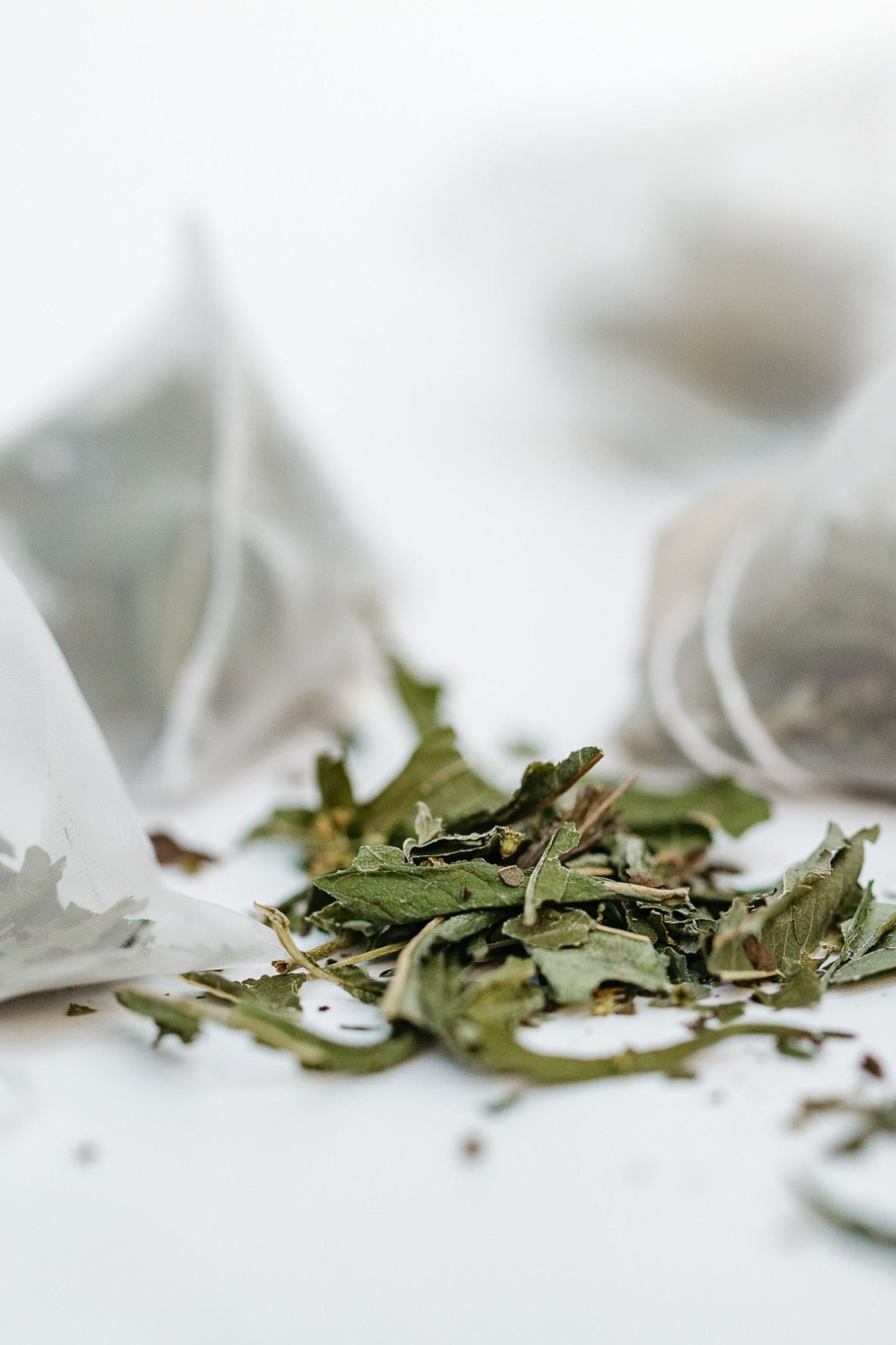 Tēja NORDIC GREEN 25x2g